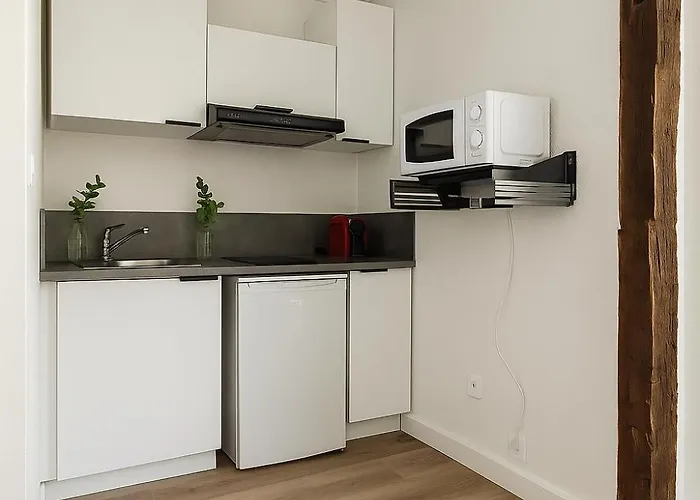 Apartamento Cosy - Doutre Centre